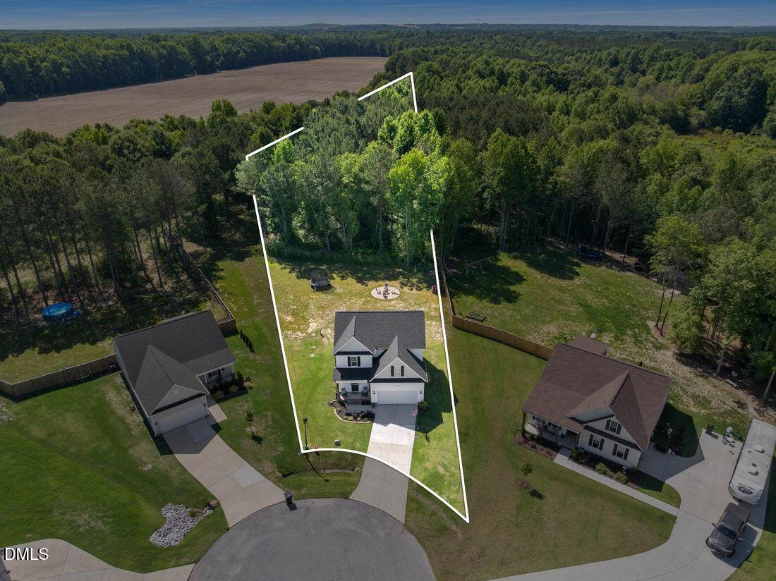 546 Brodie Rose Landing Way - Photo 1