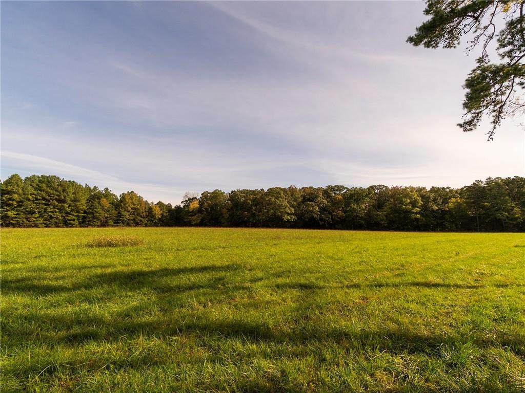 710 Woodard Drive - Photo 1