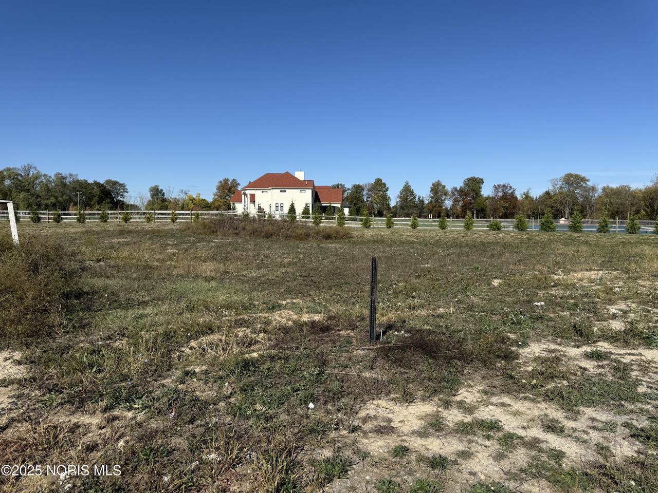 5528 Olive Tree Lane - Photo 1