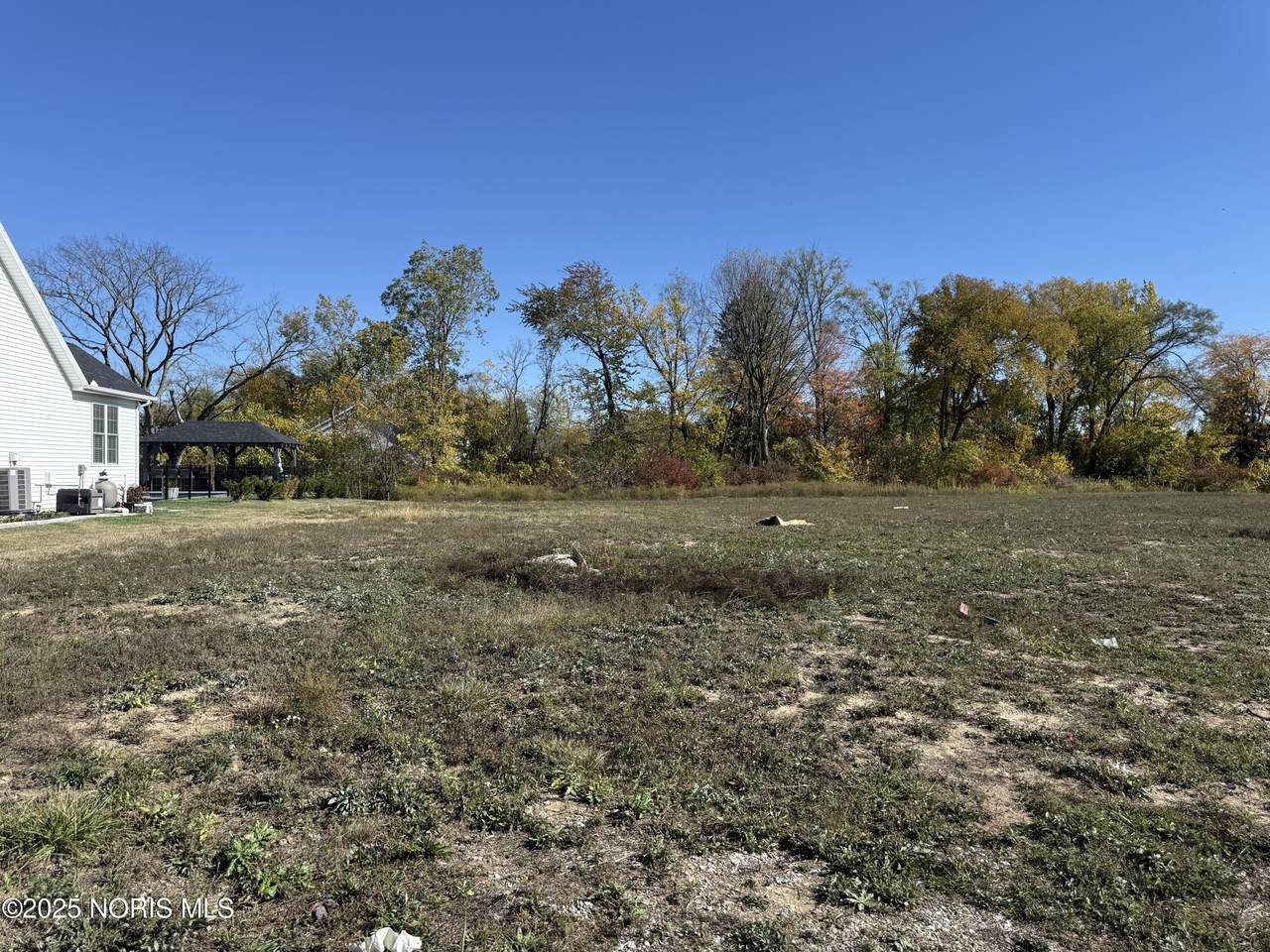 5641 Olive Tree Lane - Photo 1