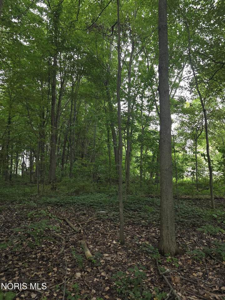 https://bt-photos.global.ssl.fastly.net/toledo/1280_boomver_1_10011976-2.jpg
