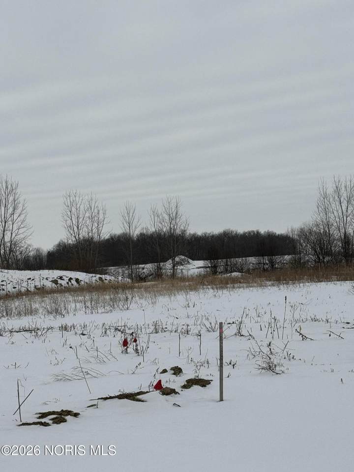 9252 Summer Song Lane - Photo 1