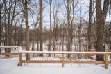 36 Wolfridge Drive - Photo 36