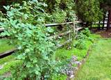 2630 Edgehill Road - Photo 63