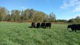 1298 County Road T3 - Photo 43