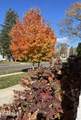 606 River Road - Photo 5