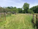 12744 Airport Highway - Photo 12
