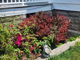 515 East Street - Photo 5