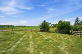 3817 Bridge Creek Boulevard - Photo 46