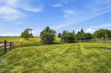 3817 Bridge Creek Boulevard - Photo 47