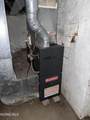 227 Marion Street - Photo 9