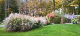 7840 Dorr Street - Photo 27