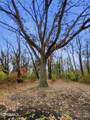 7840 Dorr Street - Photo 33
