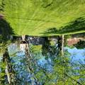 5901 Garden Park Drive - Photo 3