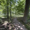 916 Lathrop Road - Photo 41