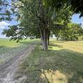 916 Lathrop Road - Photo 42