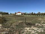 5528 Olive Tree Lane - Photo 1