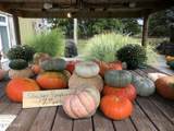 17798 Wapakoneta Road - Photo 20