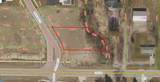 5655 Olive Tree Lane - Photo 1