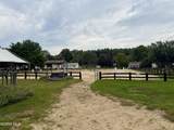 6656 County Road 1-1 - Photo 35