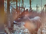 17521 County Rd 11-50 - Photo 22