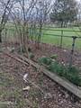444 Frederick Street - Photo 20