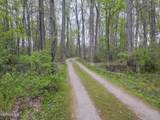 10625 Ramm Road - Photo 50