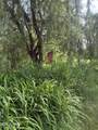 1464 Berkey Road - Photo 34