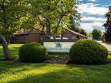 22 Knollwood Drive - Photo 2
