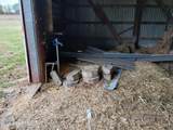 2239 County Road 3 - Photo 33