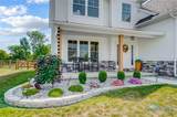 3908 Ten Mile Creek Drive - Photo 49