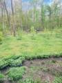 10625 Ramm Road - Photo 8