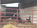 15636 State Route 49 - Photo 45