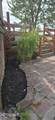 23976 Coressel Road - Photo 48