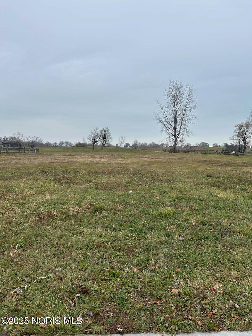 5313 Eagles Landing Drive - Photo 1