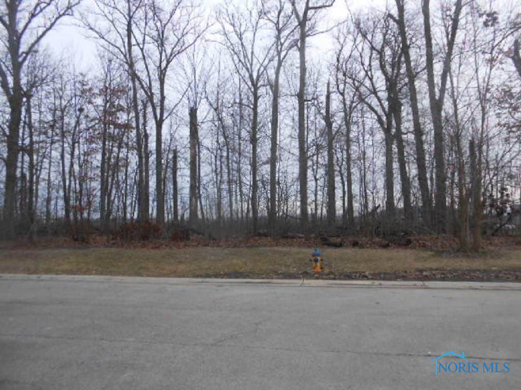 000 Pin Oak Pass - Photo 1