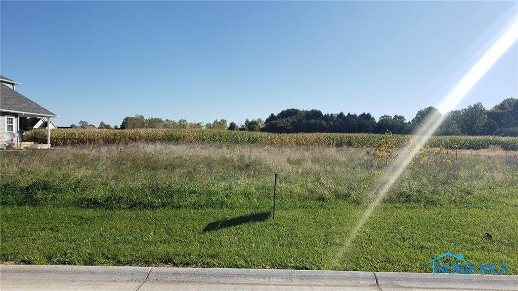 Lot #29 Ariel - Photo 1