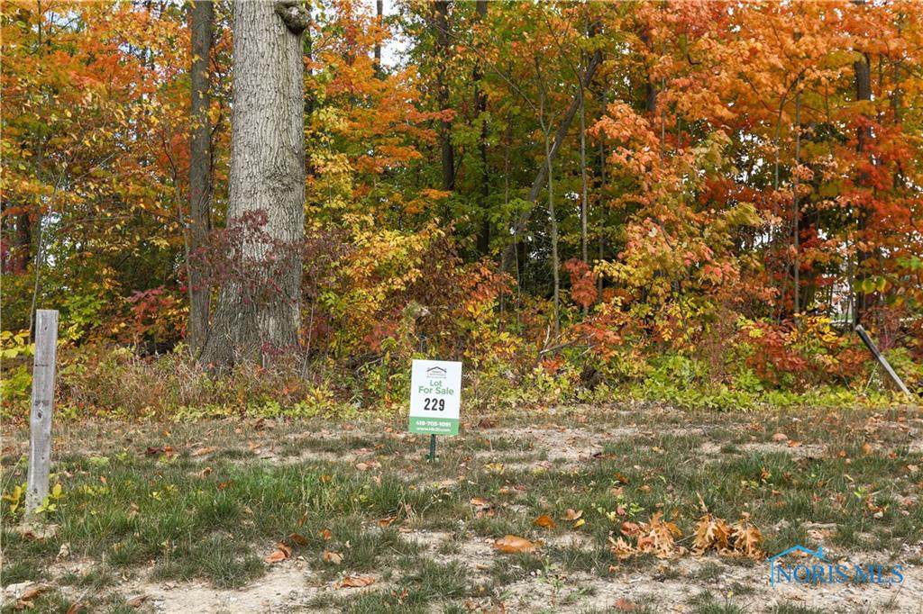 8446 Alyssa Way - Photo 1