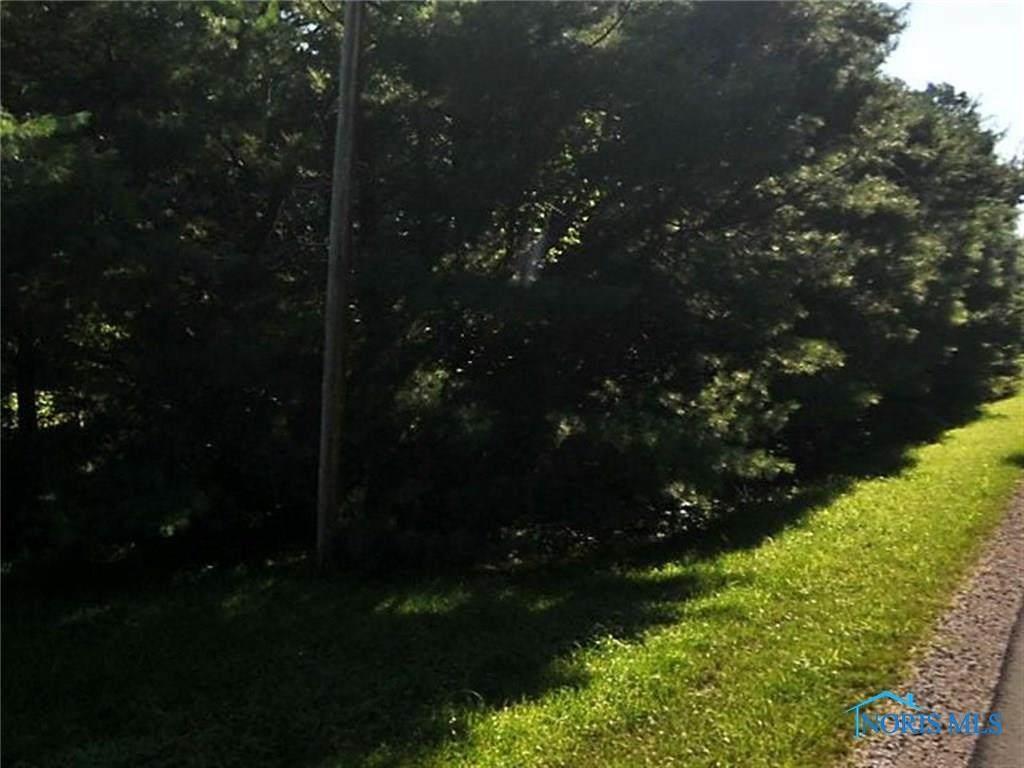 10916 Ramm Road - Photo 1