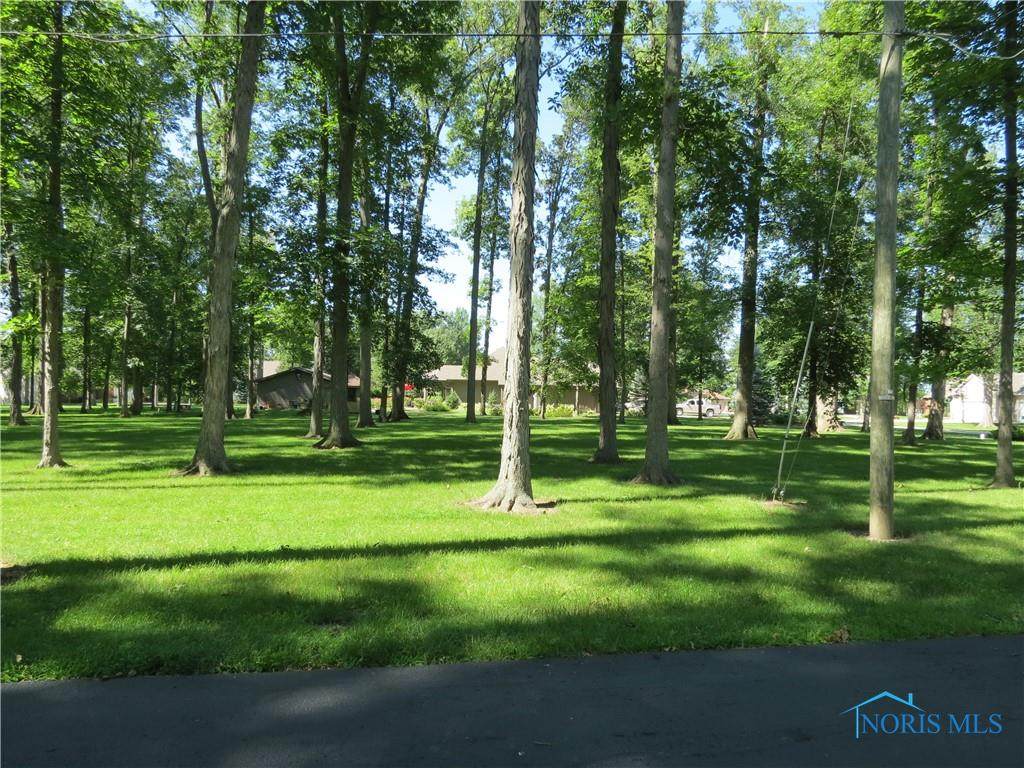 101 Red Bud Drive - Photo 1