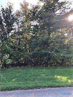 0 Falcon Landing Lot 13-B - Photo 1