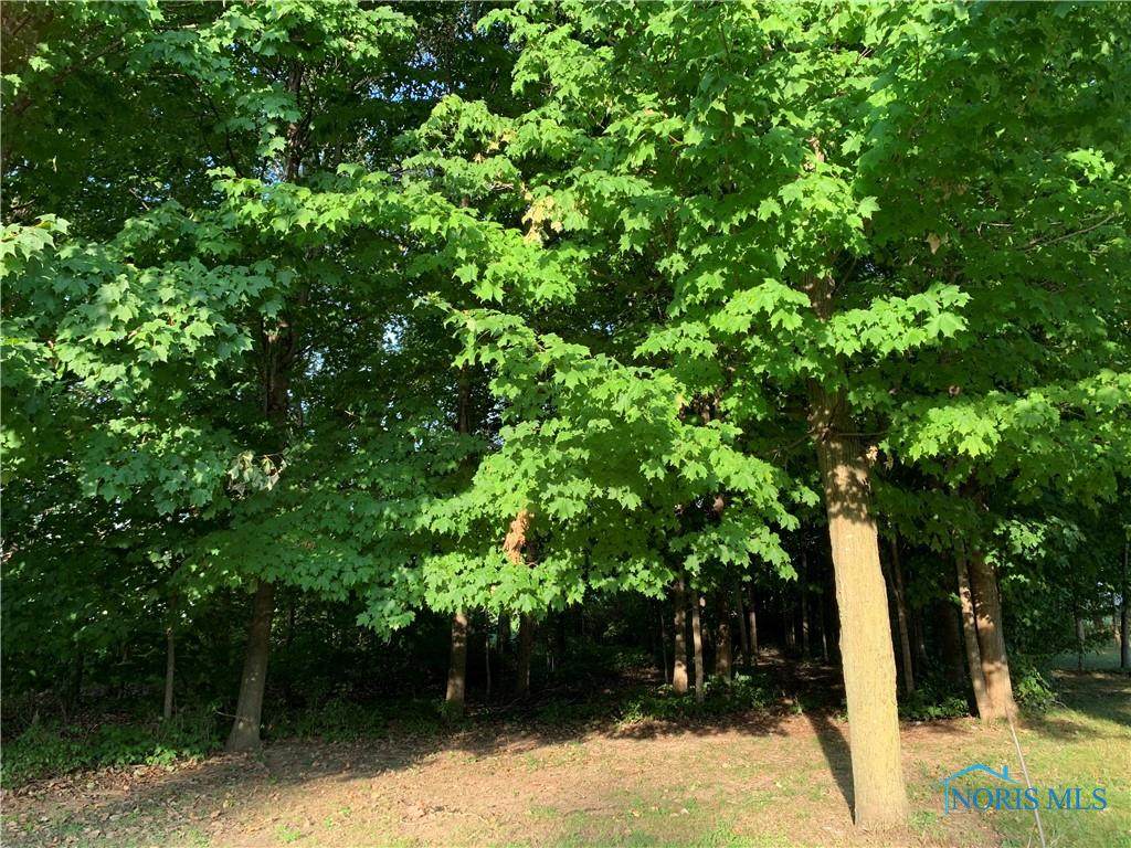 0 John Avenue - Photo 1