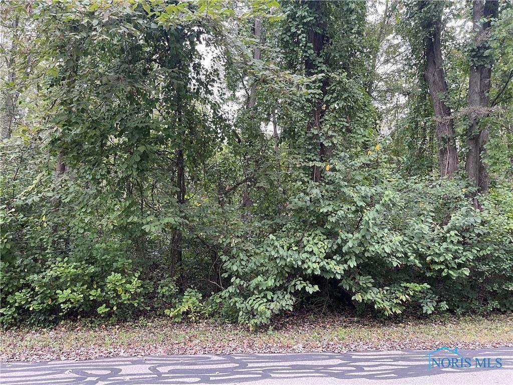 0 Ashley Road - Photo 1