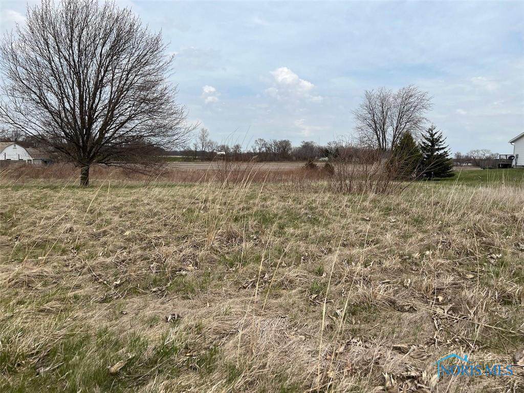 0 County Road 195 - Photo 1