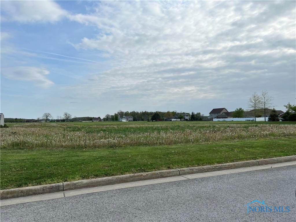 0 Hickory Grove Drive - Photo 1