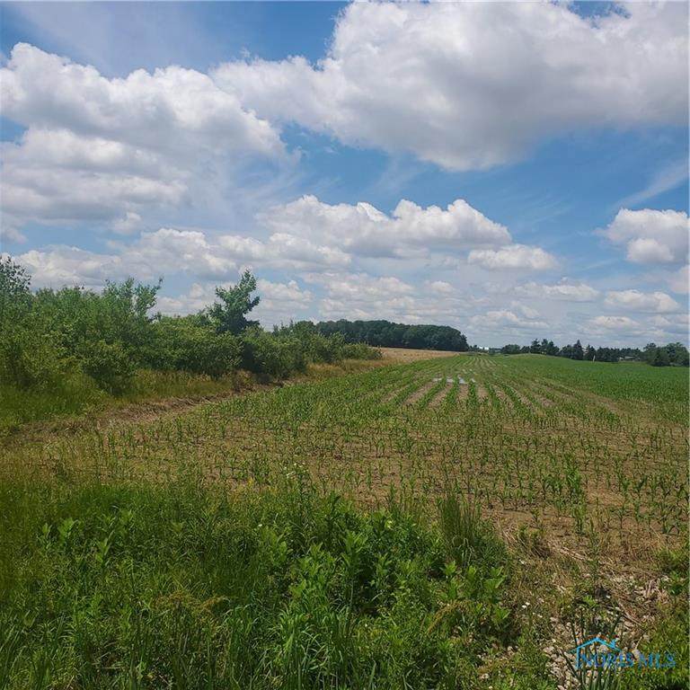 1870 Opfer Lentz Road - Photo 1