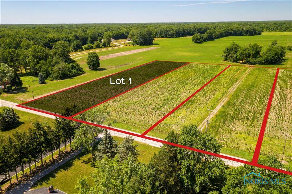 0 Ramm Lot 1 Road - Photo 1
