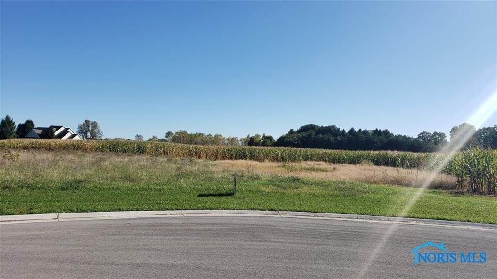 Lot #30 Ariel Court - Photo 1