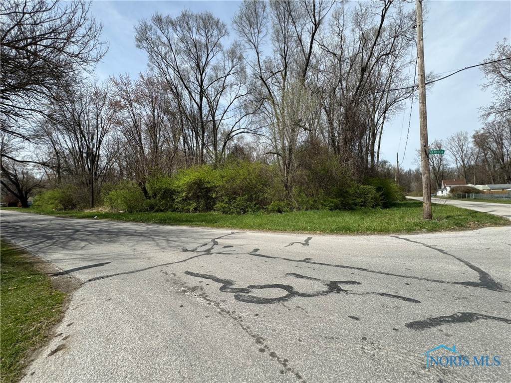 127 Dorcas Road - Photo 1