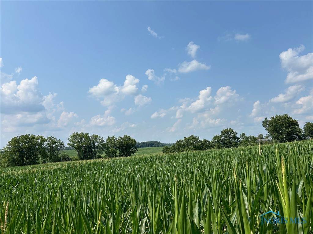 https://bt-photos.global.ssl.fastly.net/toledo/orig_boomver_1_6118310-2.jpg